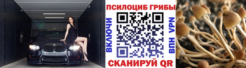 сколько стоит  Нефтеюганск  Галлюциногенные грибы Cubensis 
